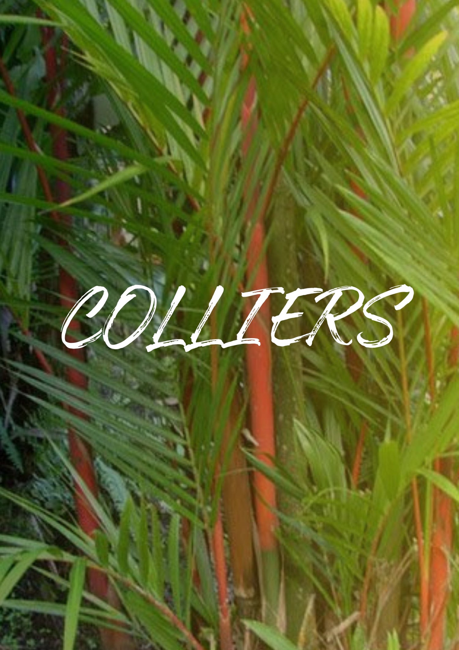 Colliers