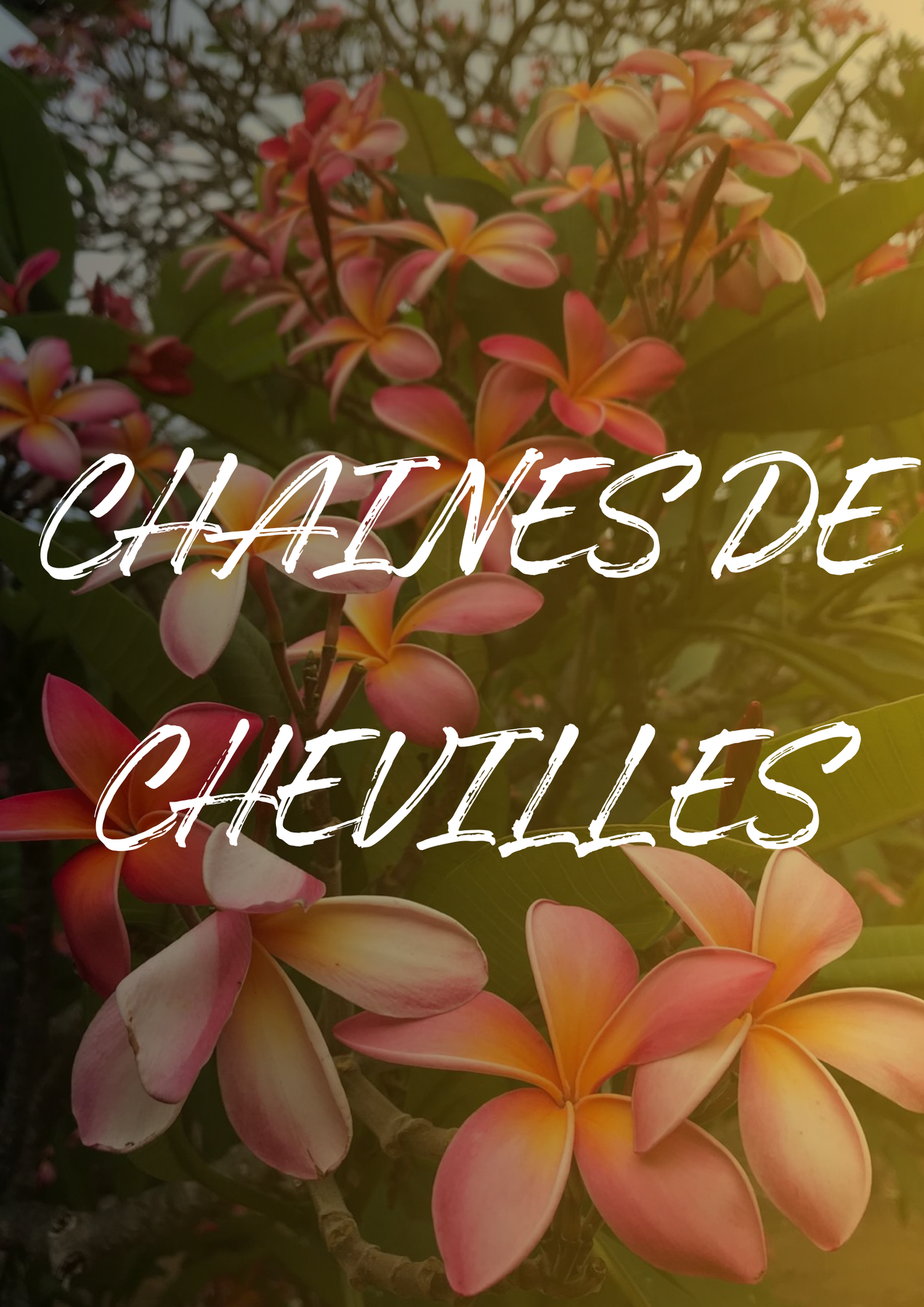 Chaine de chevilles